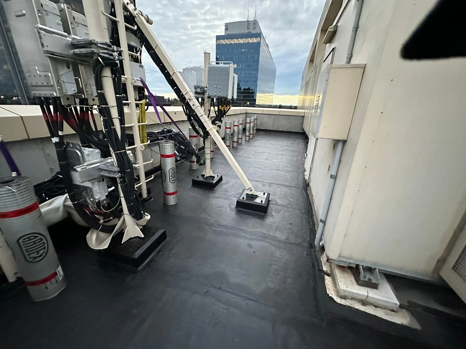 New torch-on membrane around live plant on a Parramatta rooftop