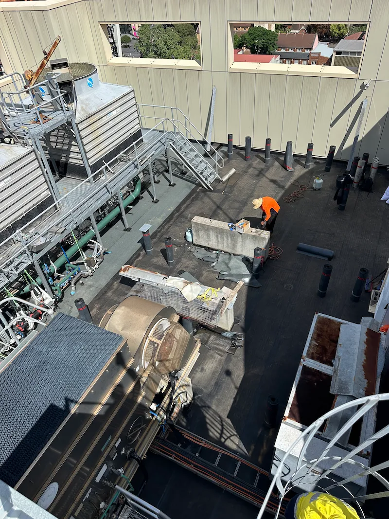 Parramatta Roof Remediation image 4