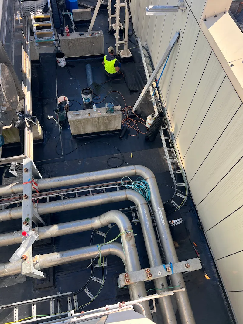 Parramatta Roof Remediation image 1