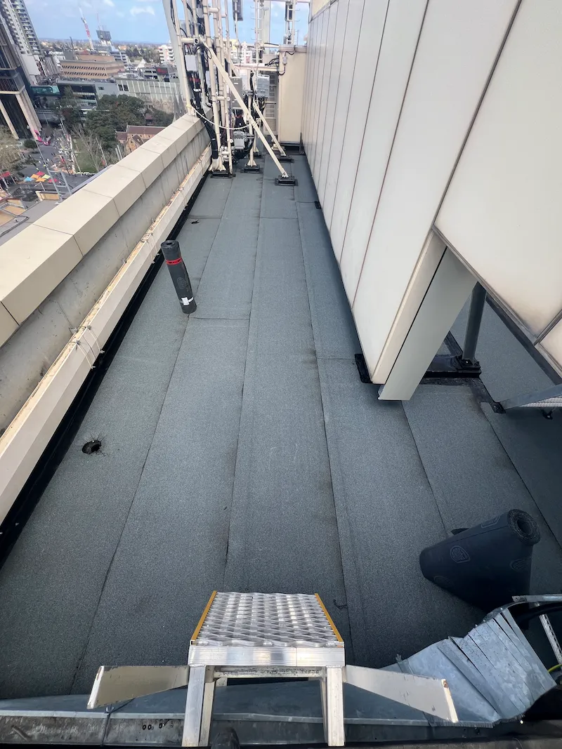 Parramatta Roof Remediation image 3