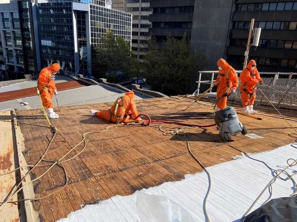 St Leonards Asbestos Removal and Roof Replacement image 6