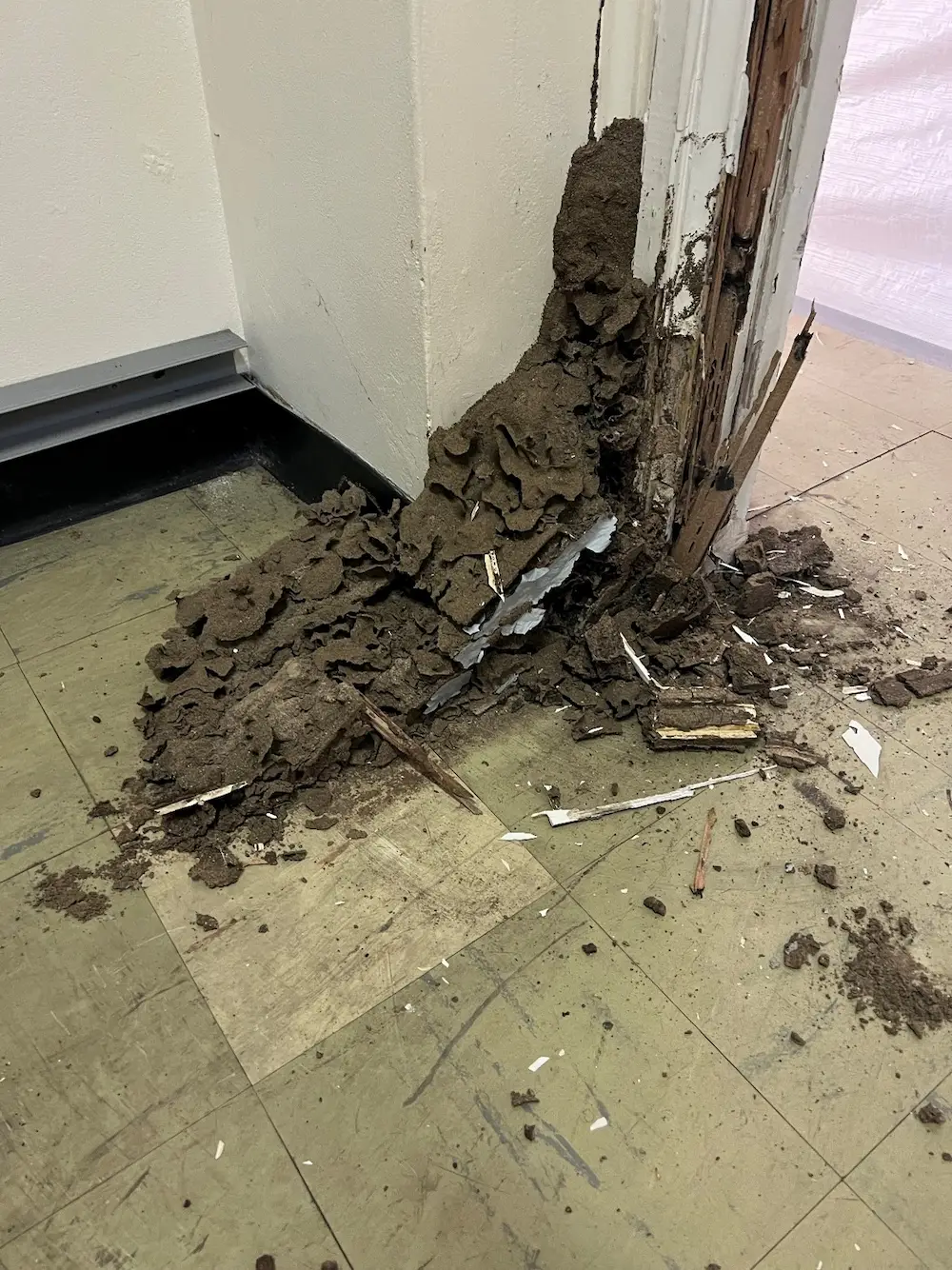 Unanderra Building Repair image 5